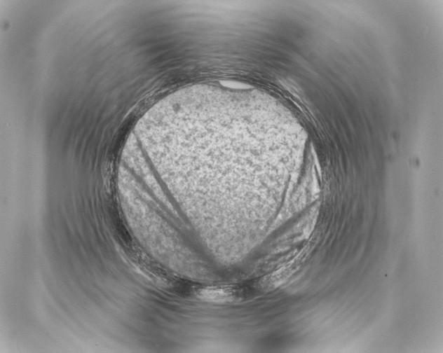 X0000087000171200705141815