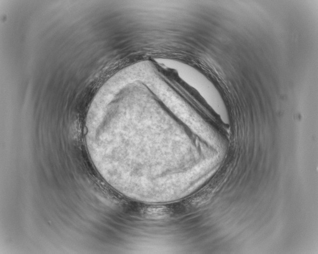 X0000087000173200705141815