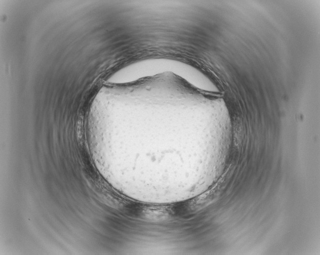 X0000087000175200705141815