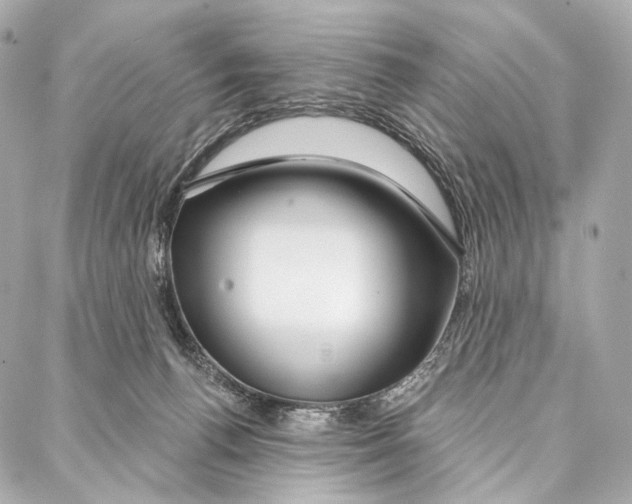 X0000087000176200705141815