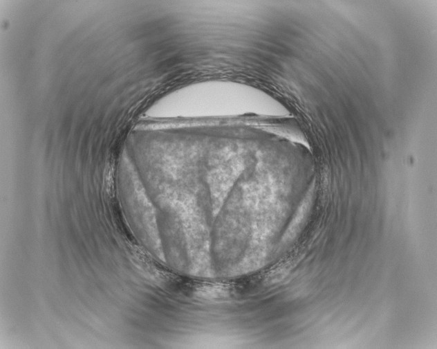 X0000087000177200705141815