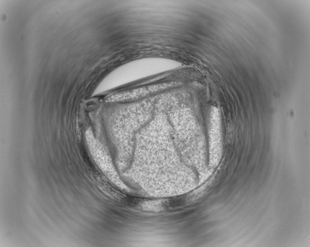 X0000087000178200705141815