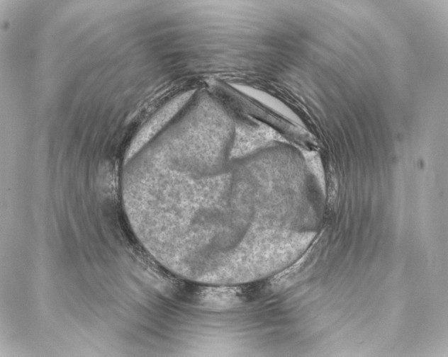 X0000087000179200705141815