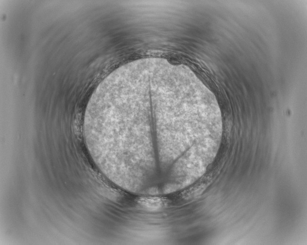 X0000087000181200705141815