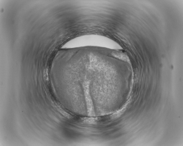 X0000087000182200705141815