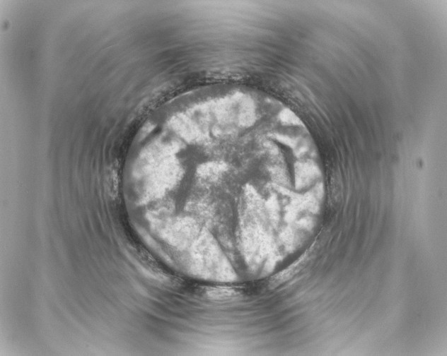 X0000087000183200705141815