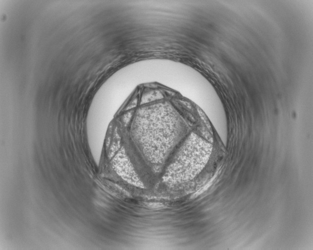 X0000087000184200705141815