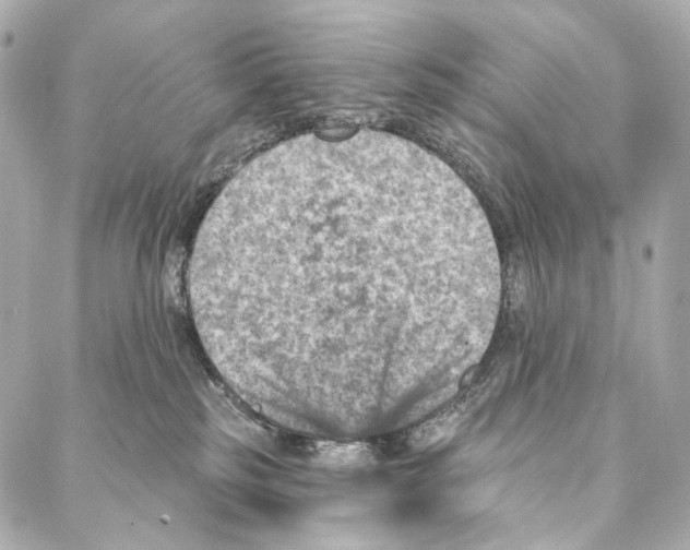 X0000087000185200705141815