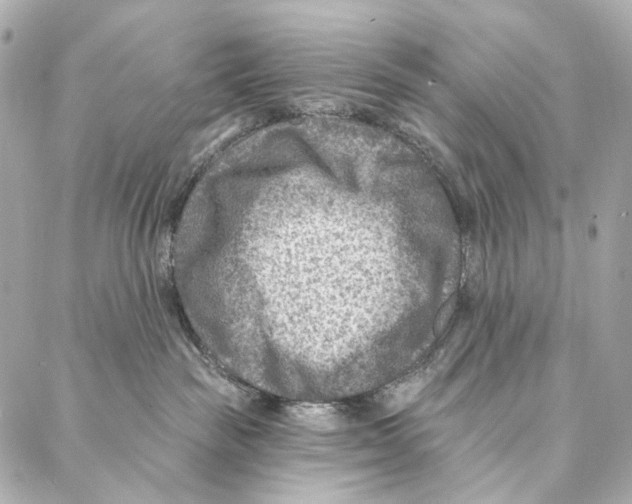 X0000087000189200705141815