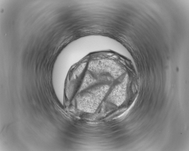 X0000087000190200705141815