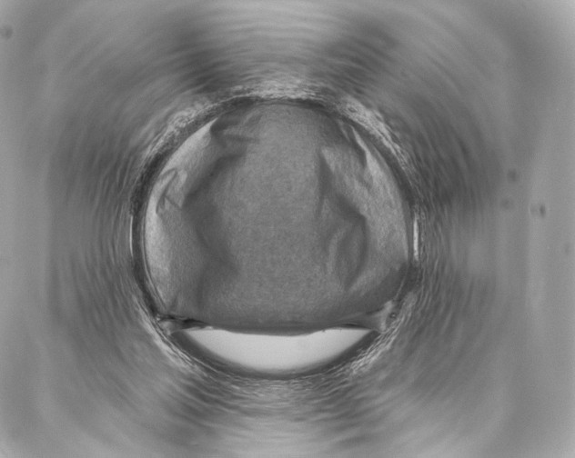 X0000087000205200705141814