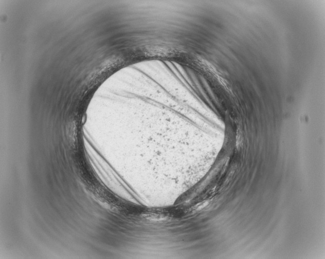 X0000087000211200705141814