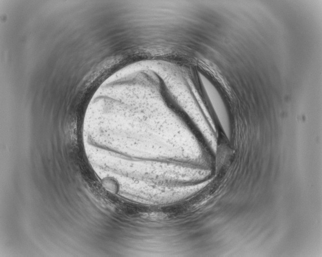 X0000087000212200705141814