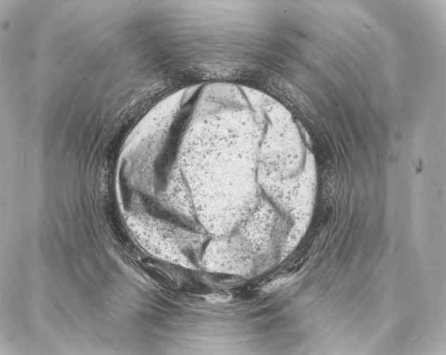 X0000087000215200705141814