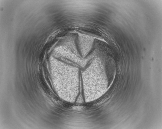 X0000087000216200705141814