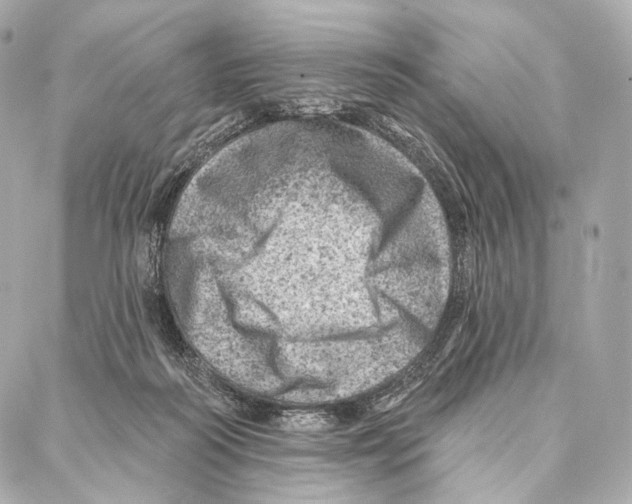 X0000087000218200705141814