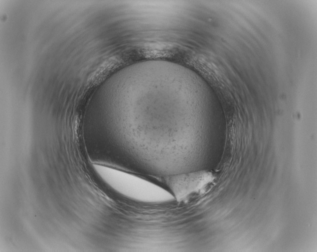 X0000087000219200705141814