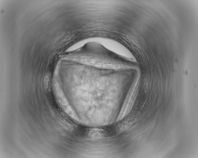 X0000087000222200705141814