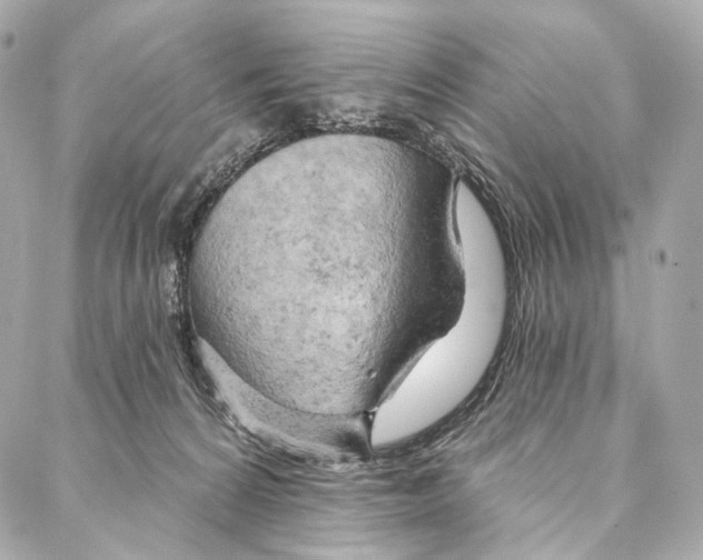 X0000087000224200705141814