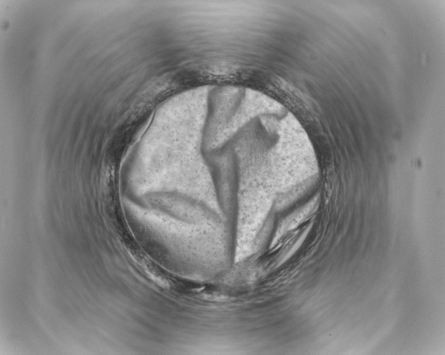 X0000087000225200705141814