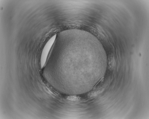 X0000087000231200705141814