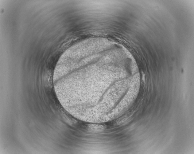 X0000087000234200705141814