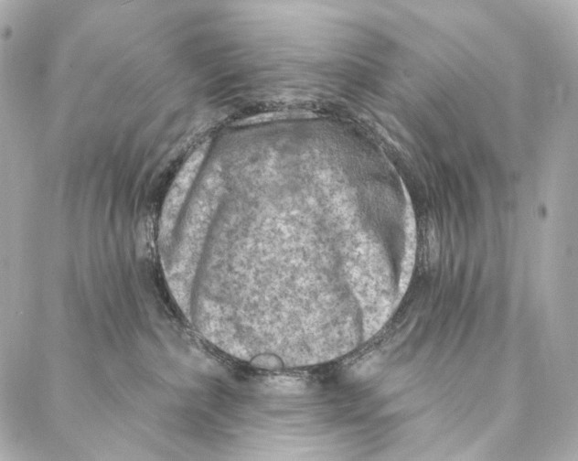X0000087000236200705141814