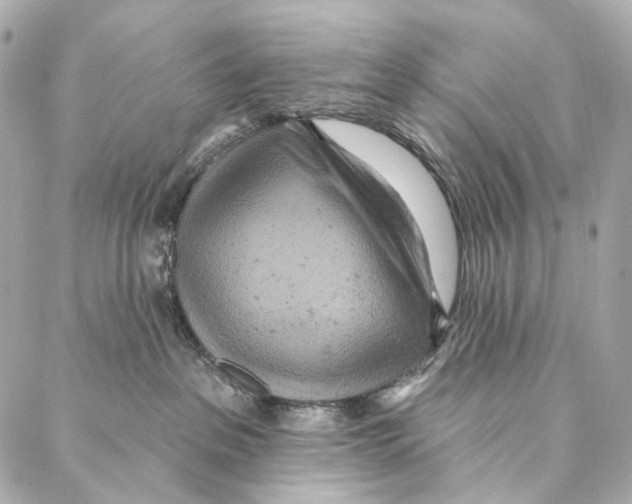 X0000087000237200705141814