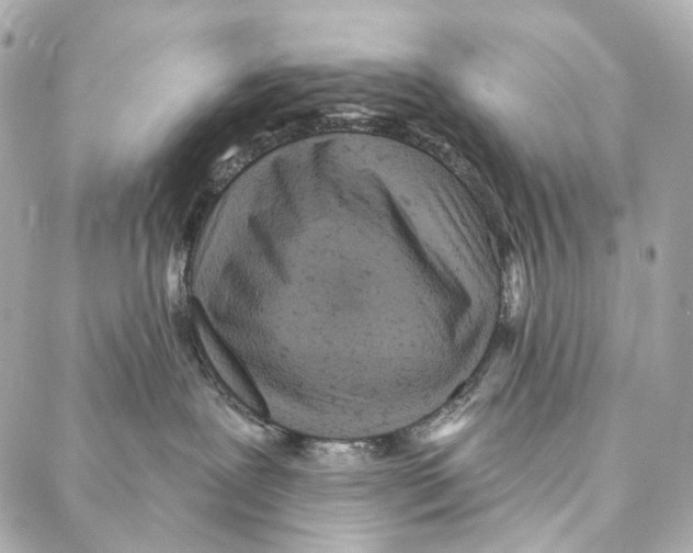 X0000087000239200705141814