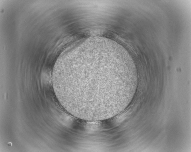 X0000087000240200705141814