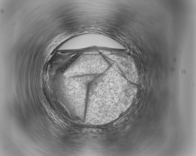 X0000087000242200705141813