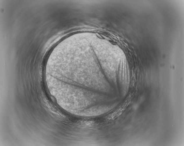 X0000087000247200705141813