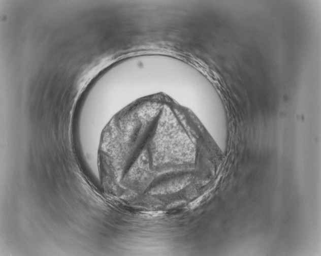 X0000087000248200705141813