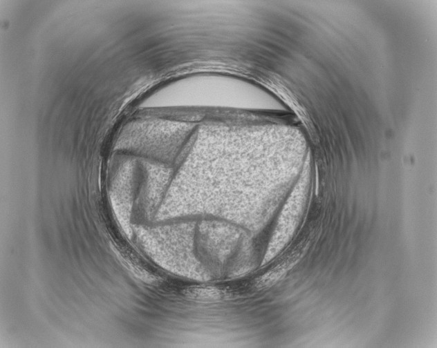 X0000087000253200705141813
