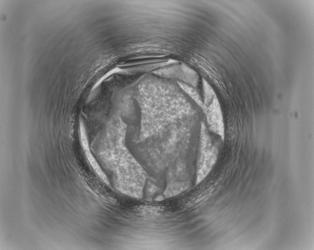 X0000087000255200705141813