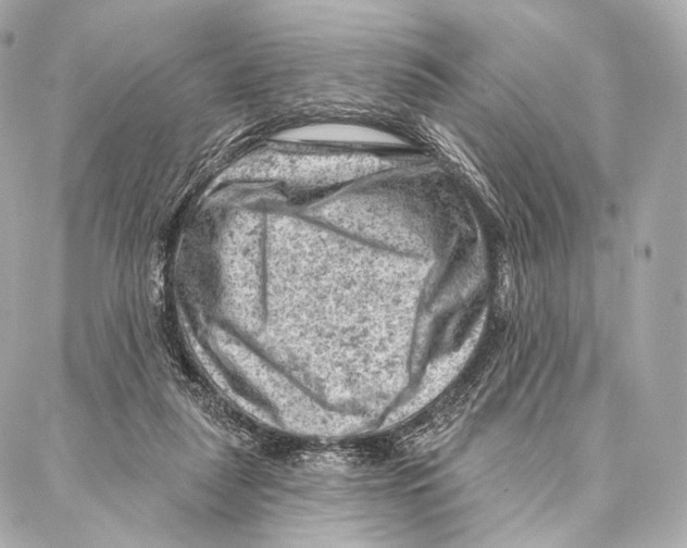 X0000087000259200705141813