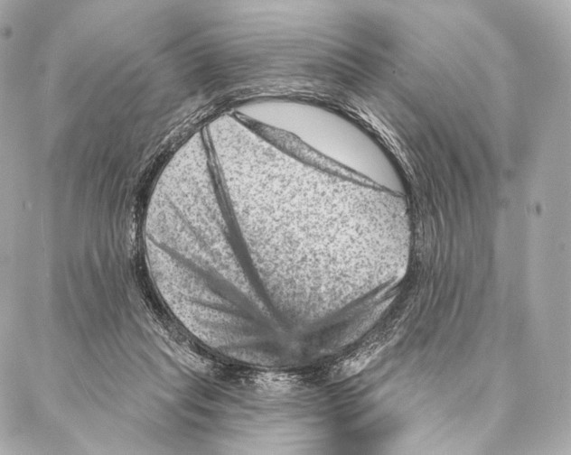 X0000087000261200705141813