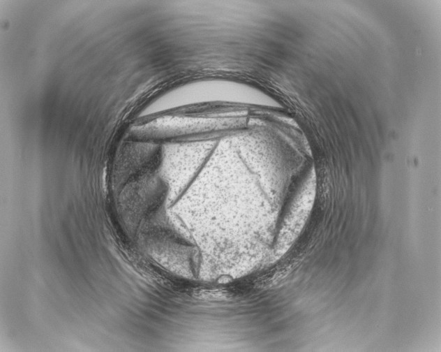 X0000087000262200705141813
