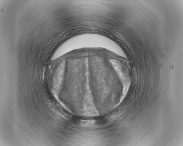 X0000087000266200705141813