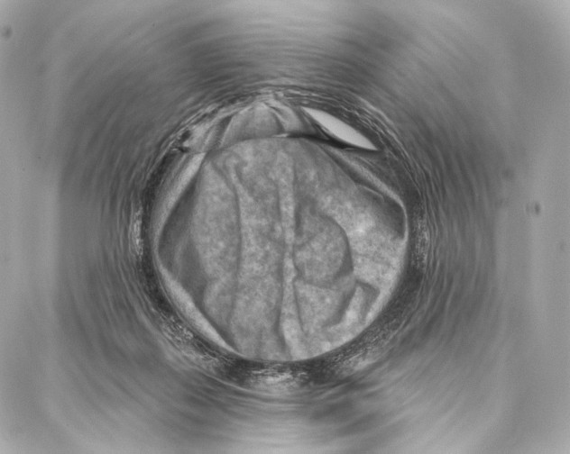 X0000087000267200705141813