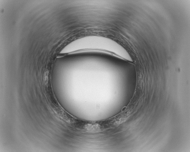 X0000087000271200705141813