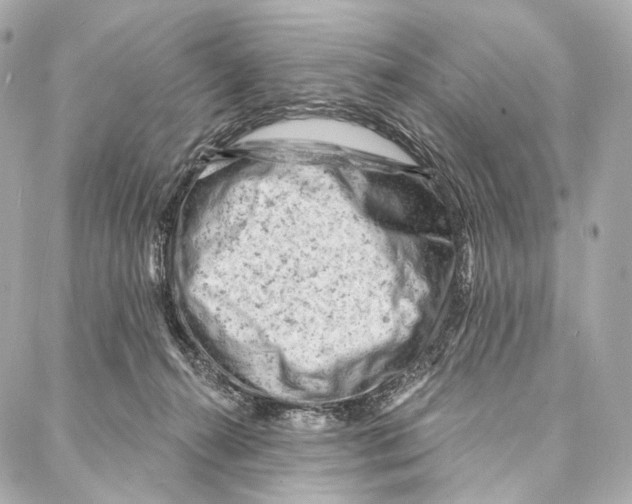 X0000087000272200705141813
