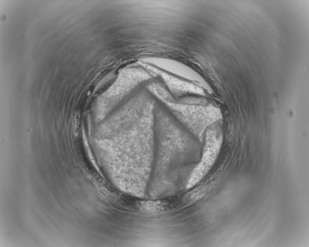 X0000087000273200705141813