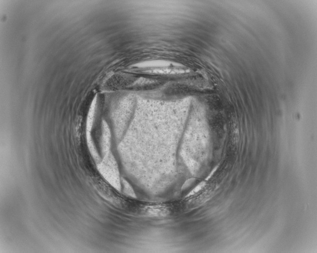 X0000087000275200705141813