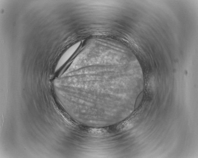 X0000087000277200705141813