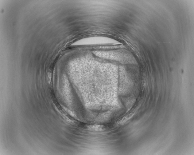 X0000087000281200705141813