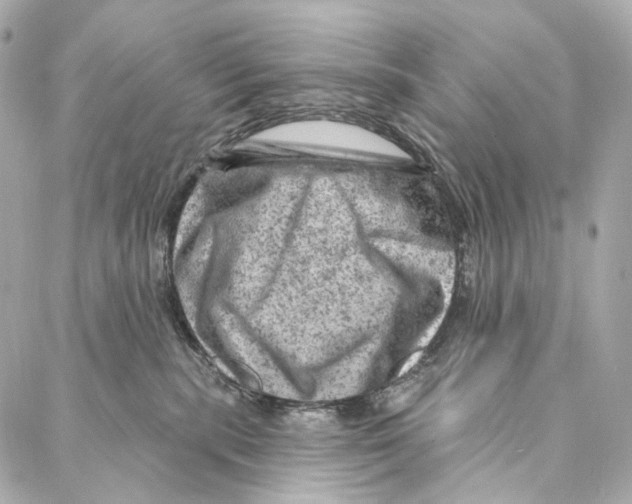 X0000087000283200705141814