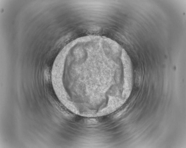 X0000087000287200705141814