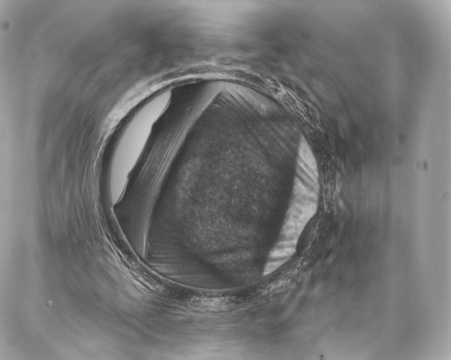 X0000087000295200705141813