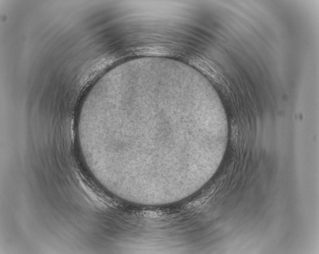 X0000087000302200705141813